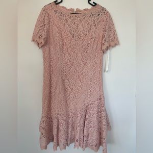 Shani pink lace dress | Size 12